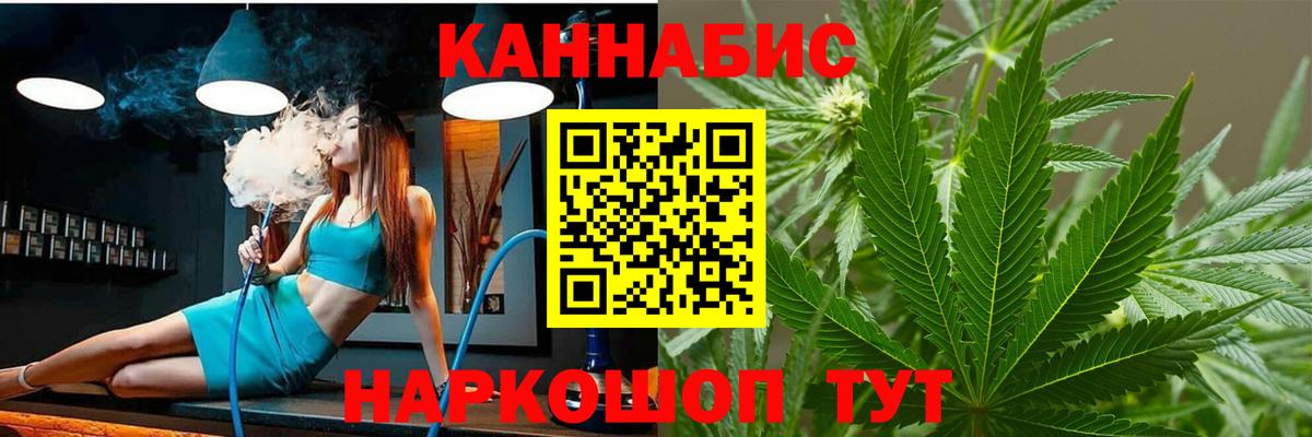 Бошки марихуана конопля  Вход с VPN  Мурино  Каннабис сатива  Бошки Шишки SATIVA & INDICA 